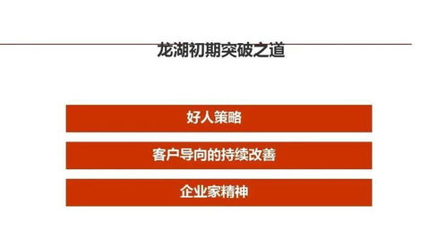 标杆龙湖 精细化管理在企业管理与运营中的实践