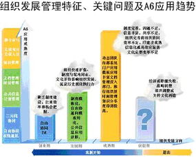 信息化赋能现代企业管理 数字化转型的新引擎